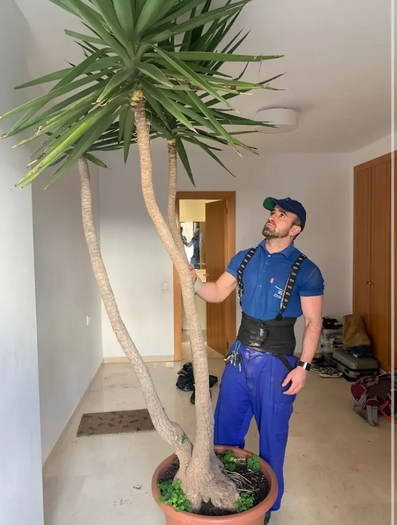 mudanzas willy trabajando 6