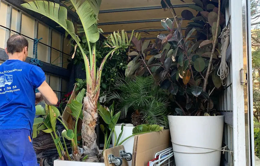 tipo de carga transporte muebles y objetos delicados