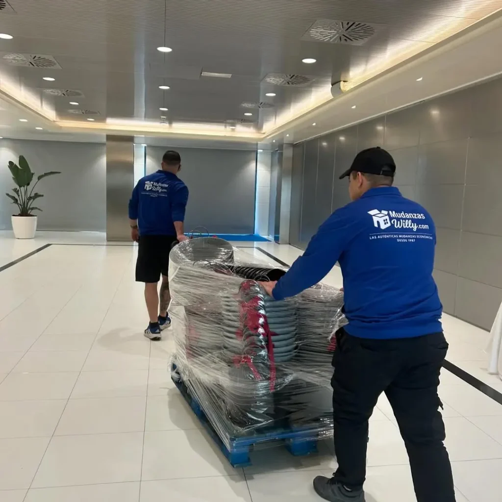 transportes mudanzas willy